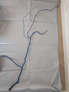 Item thumbnail for item aa3f8307-279f-4d62-9908-8a03e3ddab71