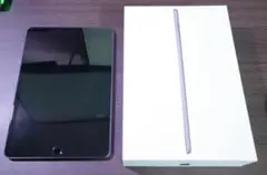 iPad mini 第5世代 Wi-Fi + Cellular スペースグレイ