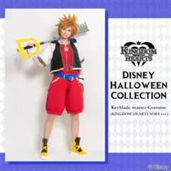 三連休限定値下げ　シークレットハニー　キングダムハーツ　ソラ　衣装　Dハロ仮装