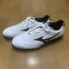 MIZUNO ゴルフスパイク 29cm LS-025 新品のサムネイル