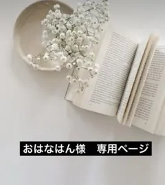 No.17 ハンドメイドピアス　イヤリング