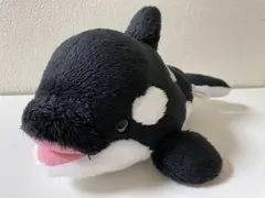 鴨川シーワールド　シャチ　ぬいぐるみ　シャチくじ　4等　ブラック　黒　約38cm