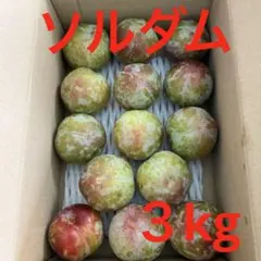 プラム ソルダム　３kgのサムネイル