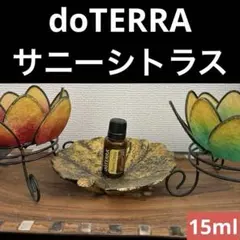 ぽんちゃん 新品未開封 ドテラ ヒュッゲ ディヒューザー ぽんちゃん様専用 新品未開封 ドテラ ヒュッゲ ディヒューザー 【公式