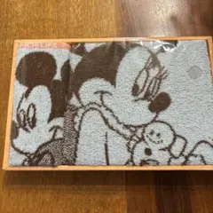 ミッキーマウス・ミニーマウス タオルセット