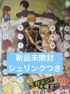 新品 ある日、お姫様になってしまった件について 13