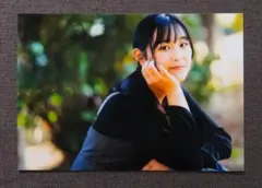 Item thumbnail for item 90cd9360-7fe1-4281-9818-d25f605edf7f