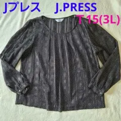 Jプレス J.PRESS 長袖 ドット柄 ブラウス T15 脇ファスナー 3Lのサムネイル