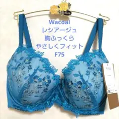 D75L トリンプ プレミアム 寄せアゲハ 花と油絵 ブラ＆ショーツM008