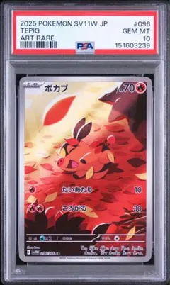 ポカブ AR PSA10 2026年最新】psa10 ぽかぶの人気アイテム - メルカリ