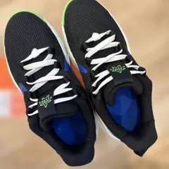 Item thumbnail for item 8e17285d-4dbe-4b88-91be-cd2ff68cee8e