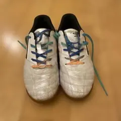 Item thumbnail for item d67d1ec9-9c69-45eb-bf07-d0d1d215ac8c