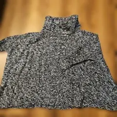 INGNI イング タートルネック ニット セーター ギャル モノトーン