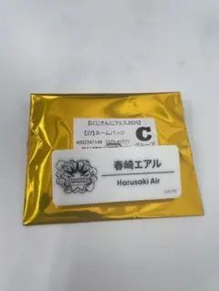 にじフェス 2025 春崎エアル