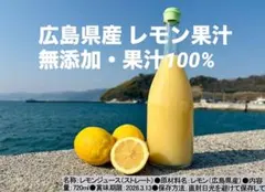 Item thumbnail for item 869fd905-b699-4da0-a87f-060a2f47c2c8