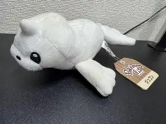 2026年最新】ジュゴン ぬいぐるみ ポケモンの人気アイテム - メルカリ