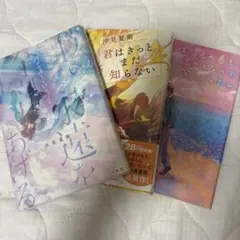 汐見夏衛 小説 3冊セット