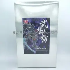 ボークス マブラヴ 武御雷 タケミカヅチ 1/100 ガレージキット レジンのサムネイル