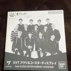 SEVENTEEN SVT アクリルコースター WOOZI