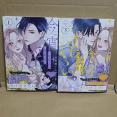 今宵あなたとひたむき淫ら上下巻