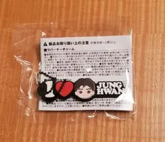 TREASURE ジョンファン ラバーキーチャームのサムネイル