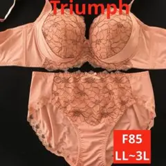 新品未使用 トリンプ Ｆ８５ 脇高リフトアップブラ＆ショーツ ＬＬ～３Ｌセット