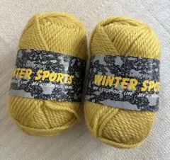 ニッケビクター　メモリアル ウインタースポーツ 2玉セット