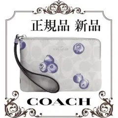 ★最終値下げ！正規品 新品未使用　コーチ ポーチブルーベリー CR817