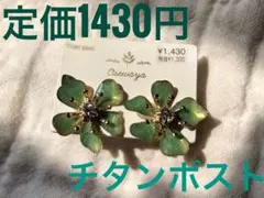 【定価以下・新品送料込❗️】チタンポスト フラワーピアス 花 グリーン 透明感