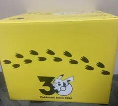 新品　ポケモン30周年記念おかえり!ピカチュウ1/1 専用BOX付き