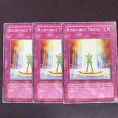 トゥルースリインフォース　英語　北米　DP09 字レア　3枚セット