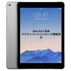 iPad Air2 32GB Wifiモデル A1566 スペースグレイ - メルカリ