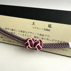 Item thumbnail for item 82719c76-30b0-4b45-a56b-8fbda5eba772