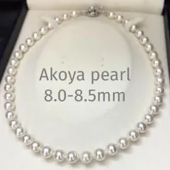 テリ強】タサキ あこや真珠 ベビーパール ネックレス ホワイト 5.5-6mm