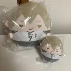 ハイキュー　ぬいくじ　木葉秋紀　C D ふわコロりん