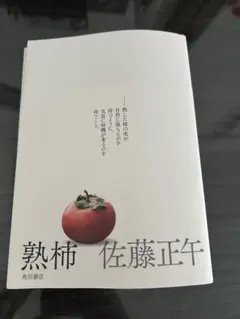 熟柿 佐藤正午 KADOKAWA