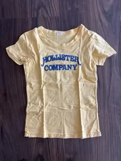 hollister Tシャツ ネイビー イエロー ピチT