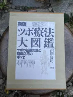 新版 ツボ療法大図鑑 芹澤勝助 リヨン社 - メルカリ