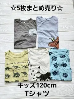 ☆5枚まとめ売り☆キッズ　恐竜柄・動物柄Tシャツ5枚セット 120cm