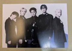 パンダドラゴン ポストカード - メルカリ