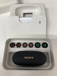 SONY ワイヤレスイヤホン WF-1000XM5 ブラック　YY2963
