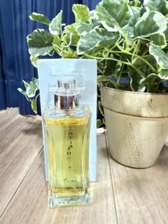 【中古品】Capri Joy 香水 50ml シナリー　カプリのサムネイル