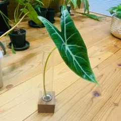 一輪挿し　フラワーベース　木製　ガラス　ハンドメイド