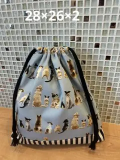 お着替え袋　体操服袋　上履き入　上靴袋　ハンドメイド 女の子　男の子　犬　水色