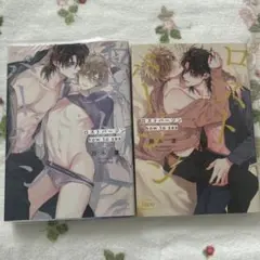 ロストバージンhow to sex 上下