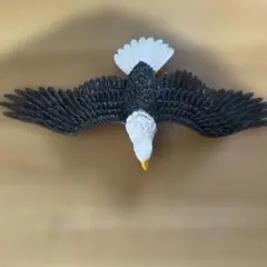 スーパーアニマル　アンドコ　ハクトウワシ