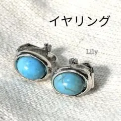 ✨ ターコイズ イヤリング 楕円 小粒 インディアン トルコ石 部族 民族