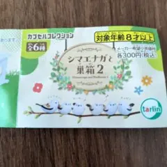 Item thumbnail for item 6d007be0-d8e8-482a-acb4-9b5eedc4606b