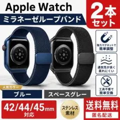 Apple Watch ミラネーゼループ バンド 2本セット 42/44/45