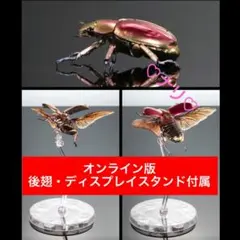 【28mm】クラバータカメノコブイブイ プラチナコガネ 昆虫標本 コガネムシ 2026年最新】プラチナコガネ 標本の人気アイテム - メルカリ